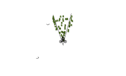 dOnT mOvE
