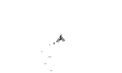 'auto'
