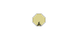 Stuck In An Octagon