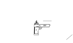 gun?