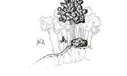 nature sketch