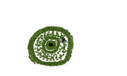 Particle Accelerator