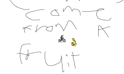cashoos come from a fruit