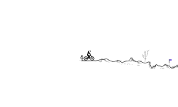 BMX Challenge