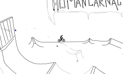 Hard Level Dirt Path
