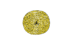circle of stars