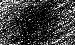 Spider Web