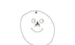 wtf am i (desc.)
