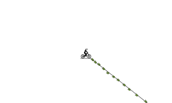 Speed trail