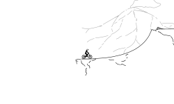 (preview)