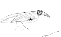 The bird