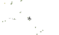 Momentum (Desc)