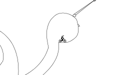 snail