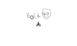wild card