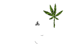 420 Auto