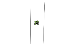 Truck Racing! (DESC)