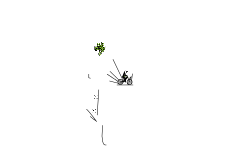 nice auto with a heli finish