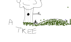 first drawings