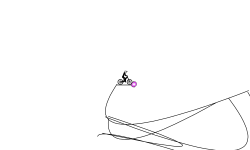 they run