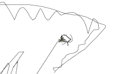 the  big scribble