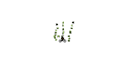 Dont Move/Bouncy helicopter
