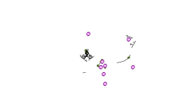 cool but short auto