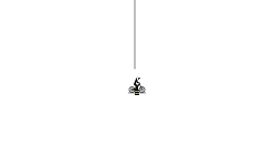 Rope Climbing Preview.