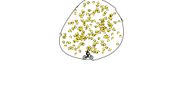 Collect of stars
