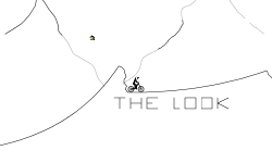 The Look!