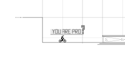 You are Pro?!