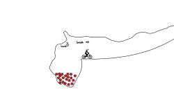 (smooth) cave adventure