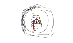 CIRCLE FIXED