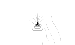 fountain