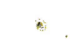 Zoom out