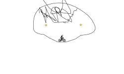 brain