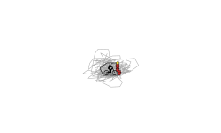 Weird Track