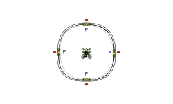 Circle challenge