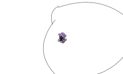 Blobo