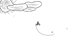 bit of a wheelie