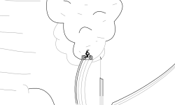 Dream (prev.)