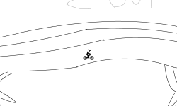LIZARD