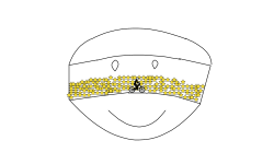 smiley level