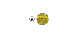 500 star circle