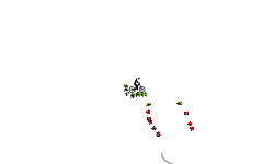 dont move[50 I think]