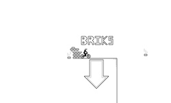 Bricks