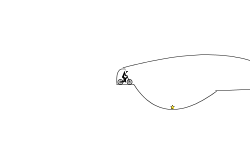 Lines (NOOB)