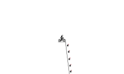 BOMB FALL!!!