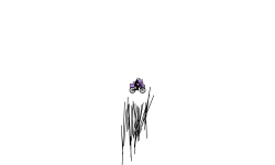 Escape