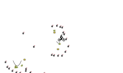 Auto 3