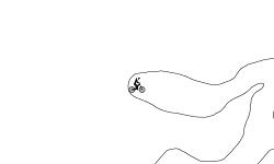 Random Track